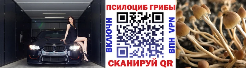 Псилоцибиновые грибы Cubensis  Артёмовск 